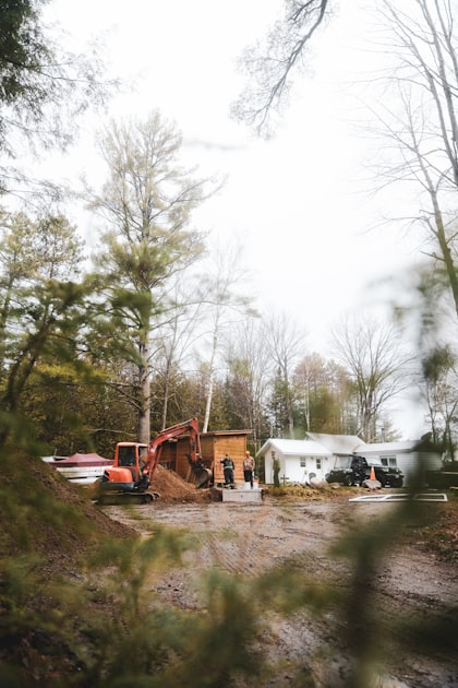 Understanding Environmental Services